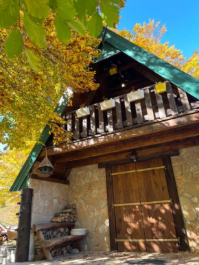 Vacation House Vučje
